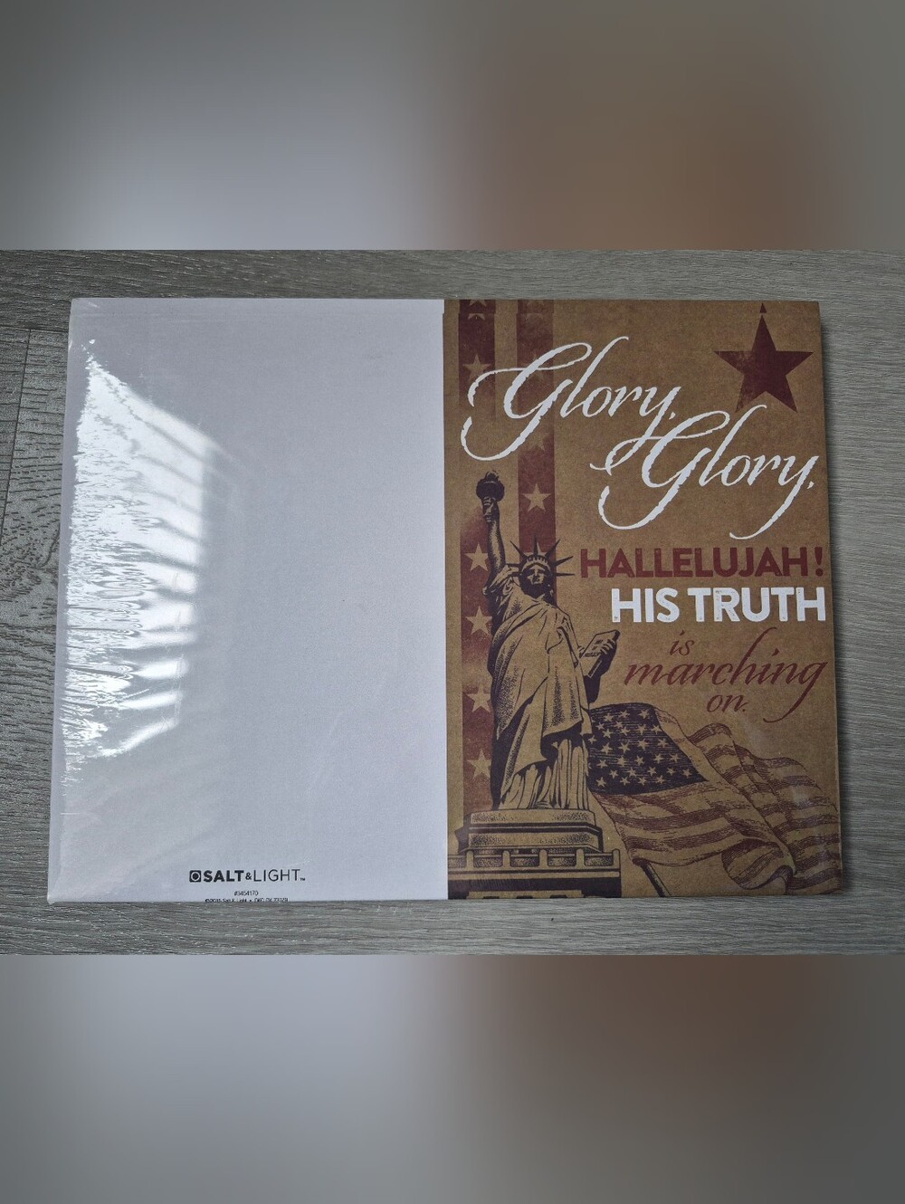 NEW Salt & Light Patriotic America Flag Statue of Liberty Church Bulletins